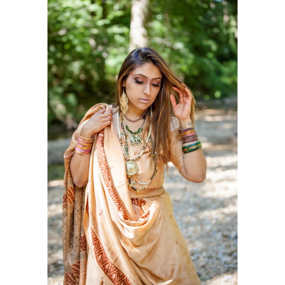 Traditional Indian Saree